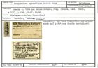 Karteikarte zum Holotyp von Marginulina apiculata Stache, 1864